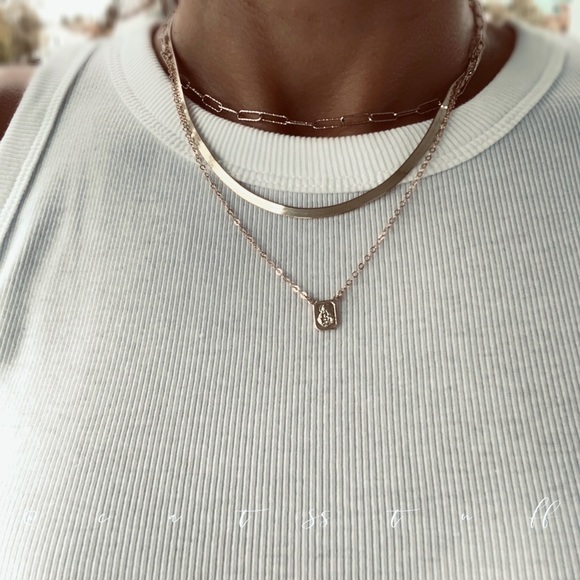 Petite Scapular Necklace - Picture 8 of 14